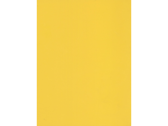 【用完下架】169 陽光黃【下單前請先詢問數量】