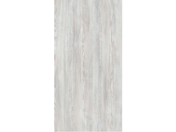 【114.09.05 已下架】3801 冰川白松