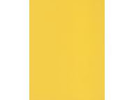 【用完下架】169 陽光黃【下單前請先詢問數量】