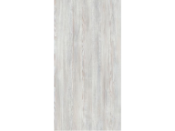 【114.09.05 已下架】3801 冰川白松